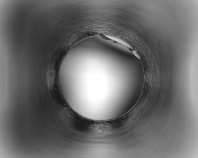 X0000088430752200706051230