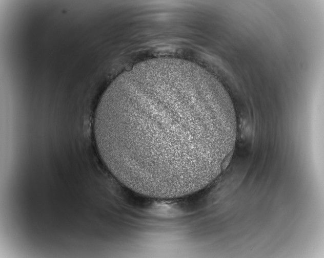 X0000088430753200706051230