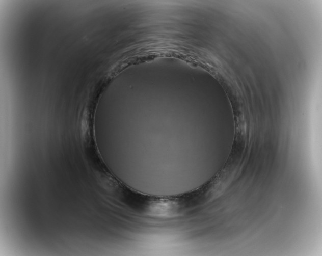 X0000088430754200706051230