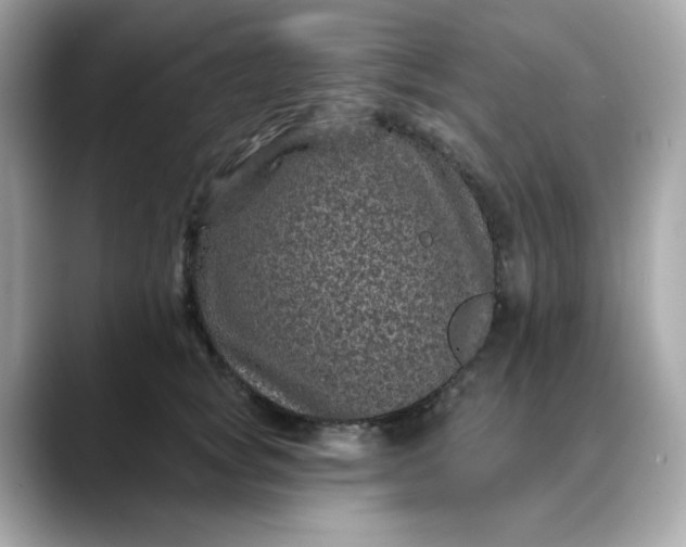 X0000088430757200706051230