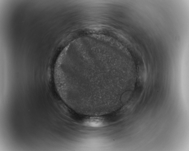 X0000088430758200706051230