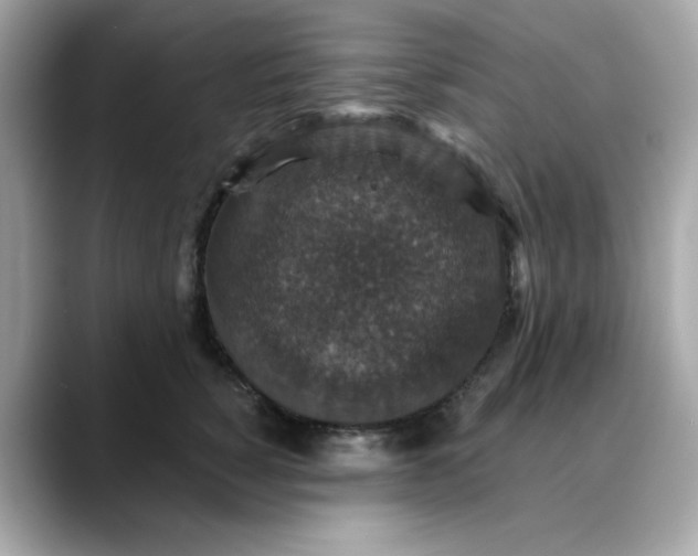 X0000088430760200706051230