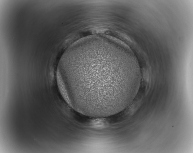 X0000088430761200706051230