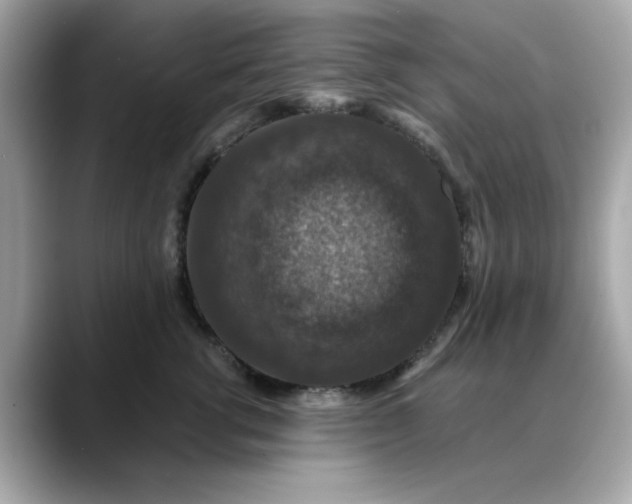 X0000088430762200706051230