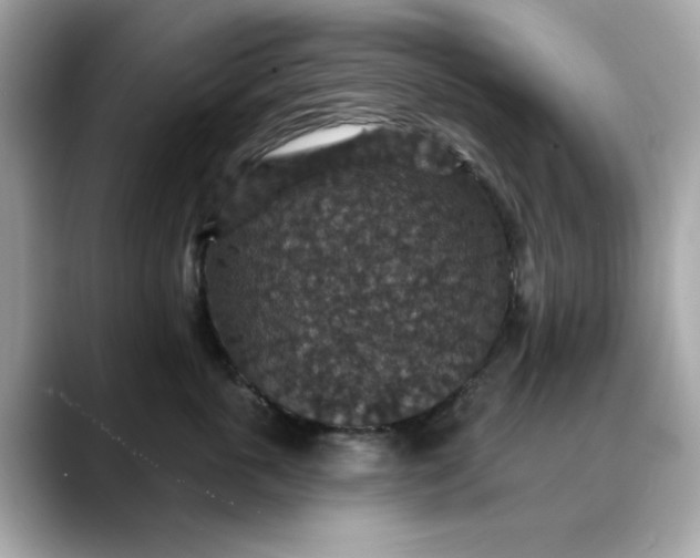 X0000088430763200706051230