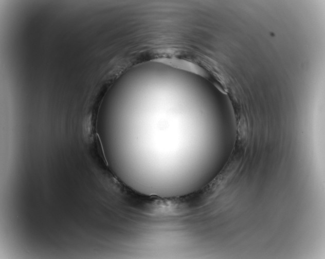 X0000088430764200706051230