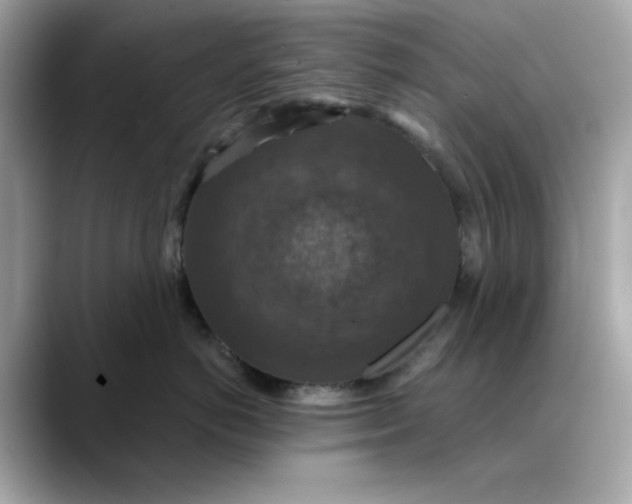 X0000088430766200706051230