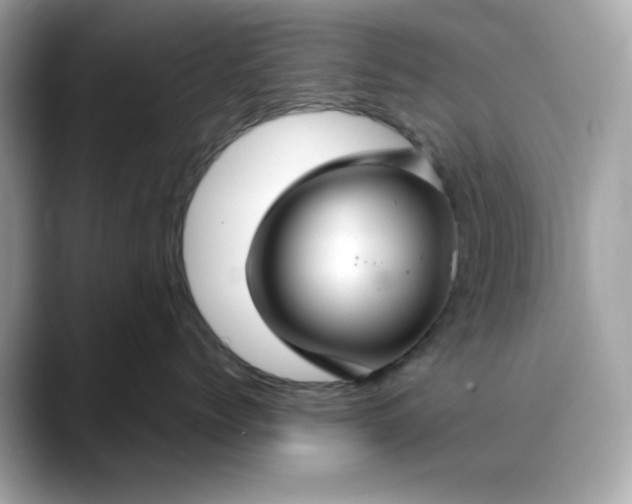 X0000088430768200706051230