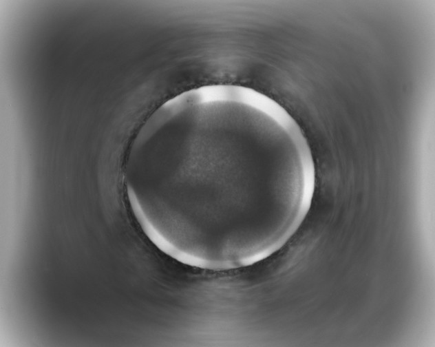 X0000088430769200706051229