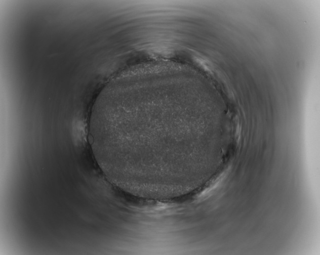 X0000088430772200706051229