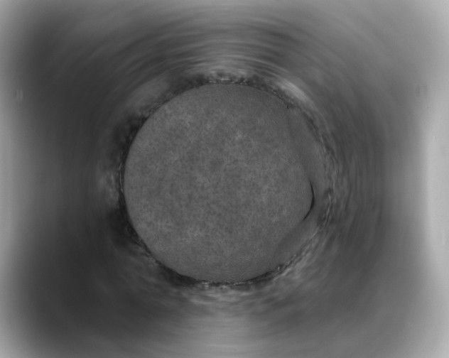 X0000088430774200706051229