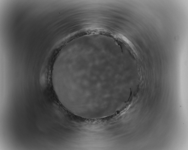 X0000088430775200706051229