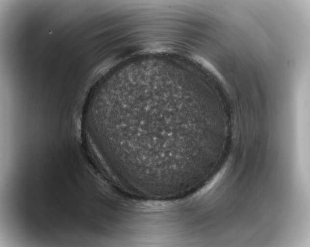 X0000088430777200706051229