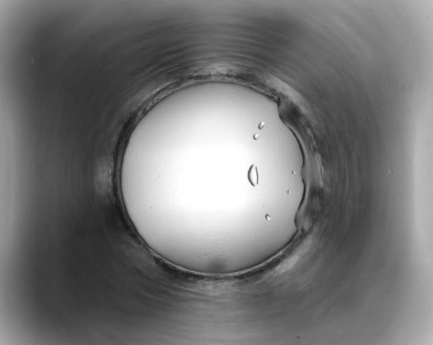 X0000088430778200706051229