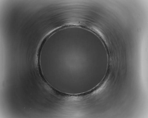 X0000088430779200706051229