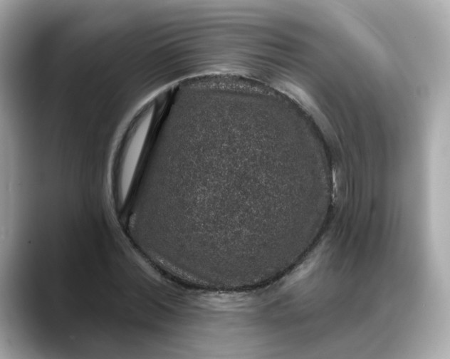 X0000088430780200706051229