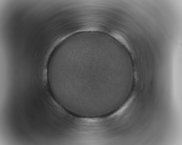 X0000088430781200706051229