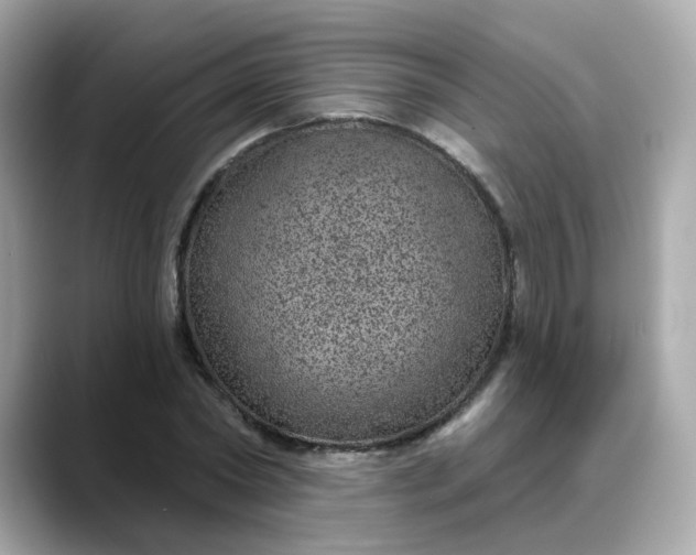 X0000088430782200706051229