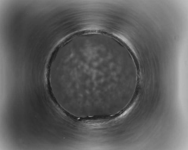 X0000088430783200706051229