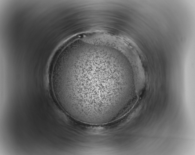 X0000088430784200706051229