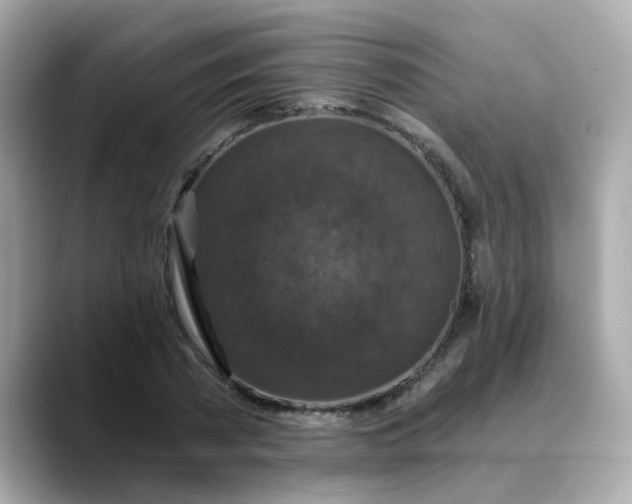 X0000088430785200706051229