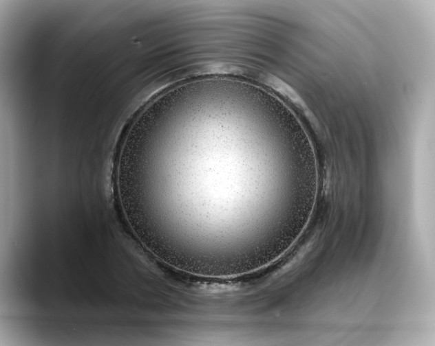 X0000088430786200706051229