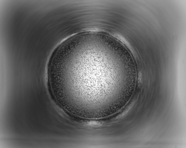 X0000088430787200706051229