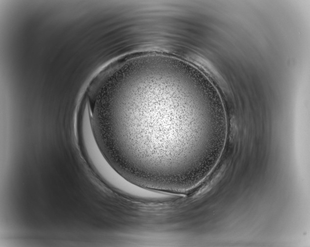 X0000088430788200706051229