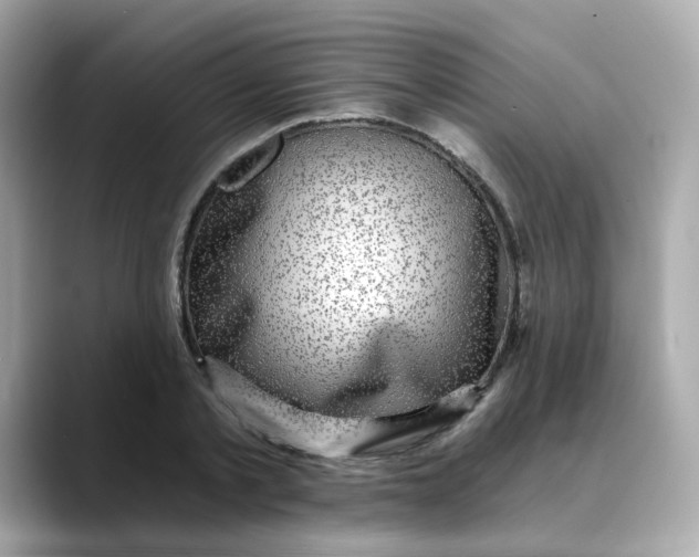 X0000088430789200706051229