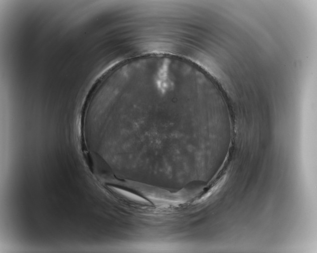 X0000088430790200706051229