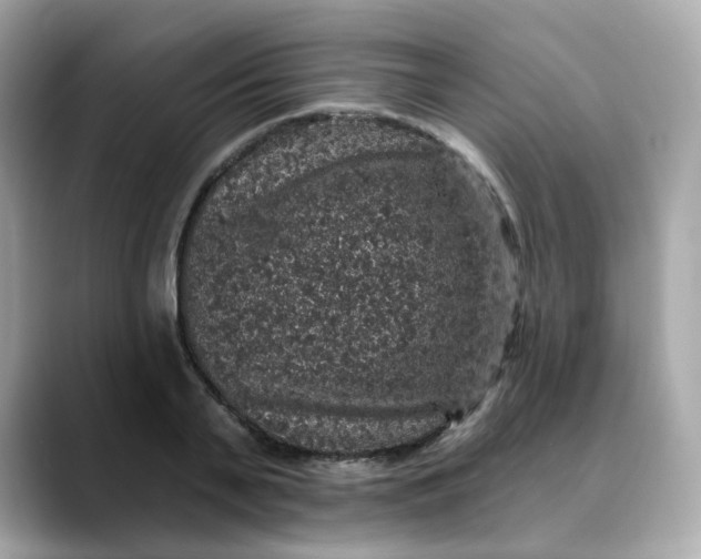 X0000088430791200706051229