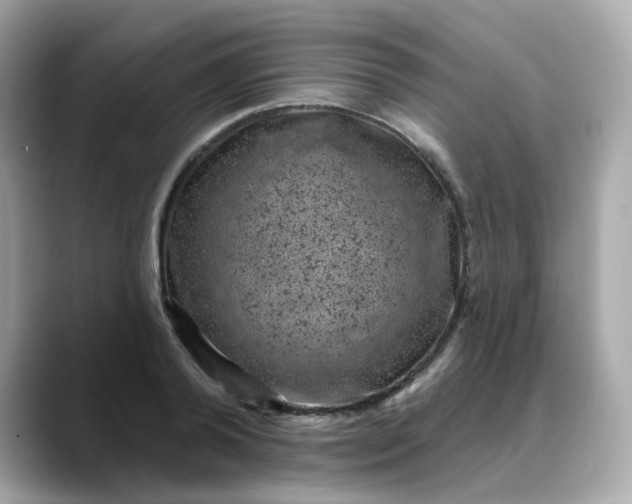 X0000088430792200706051229