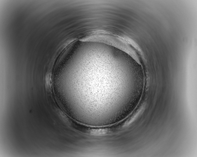 X0000088430793200706051229