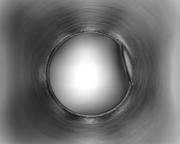 X0000088430794200706051229