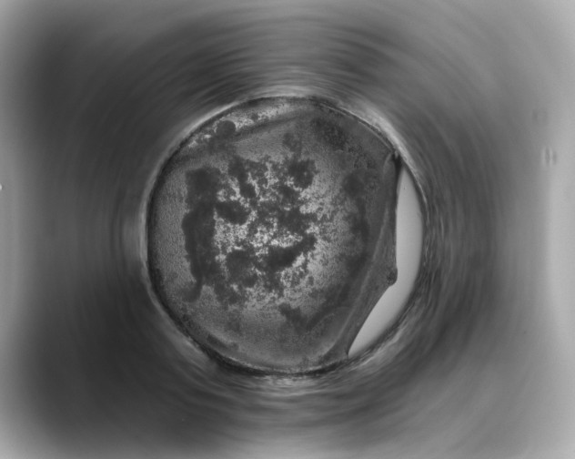 X0000088430795200706051229