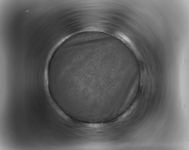 X0000088430796200706051229