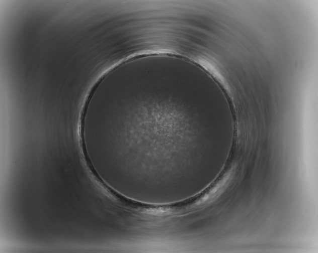 X0000088430797200706051229