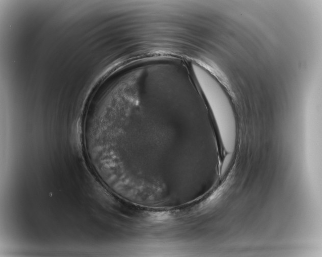 X0000088430798200706051229