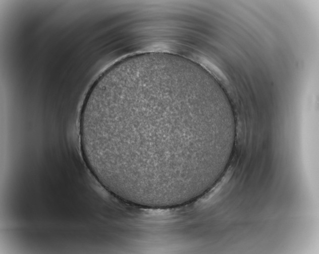 X0000088430800200706051229