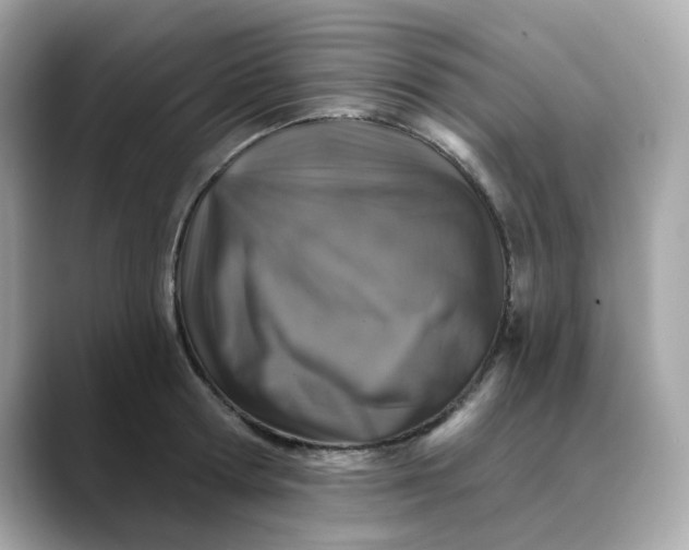 X0000088430802200706051229