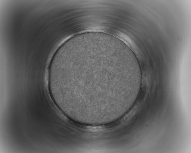 X0000088430804200706051229