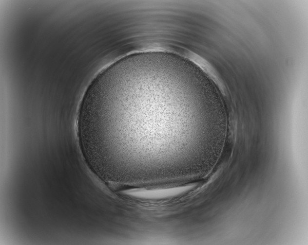 X0000088430805200706051229