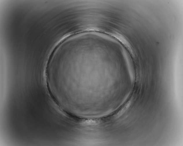 X0000088430806200706051229