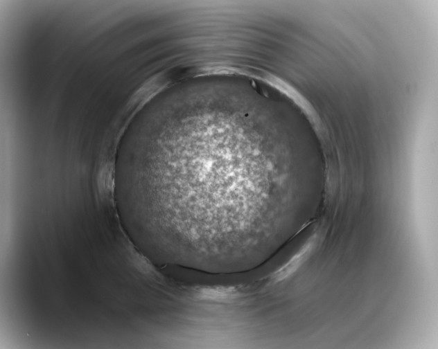 X0000088430809200706051229