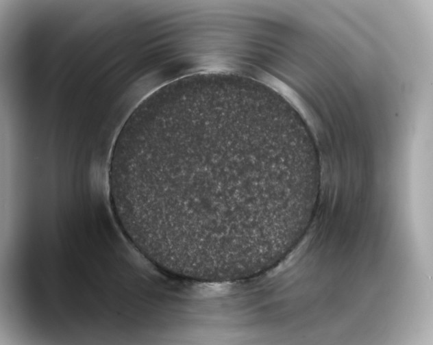 X0000088430810200706051229