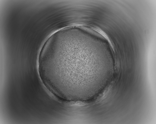 X0000088430811200706051229