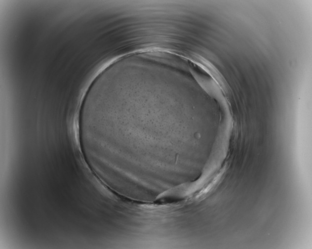 X0000088430812200706051229