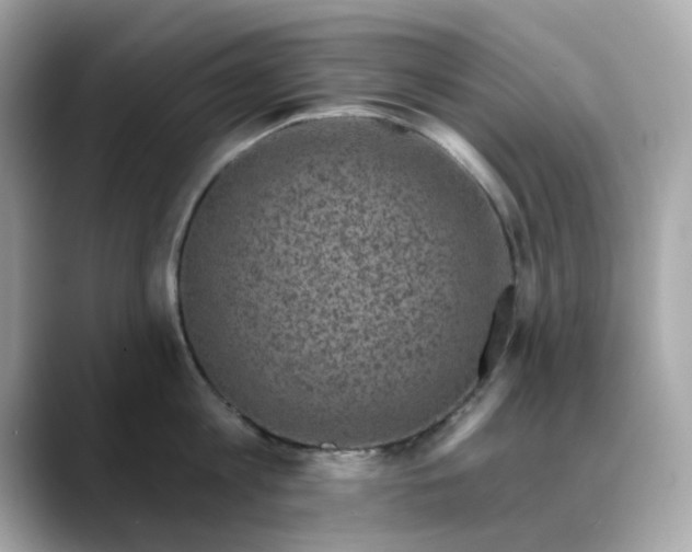 X0000088430813200706051229