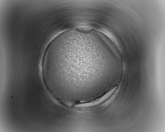 X0000088430814200706051229