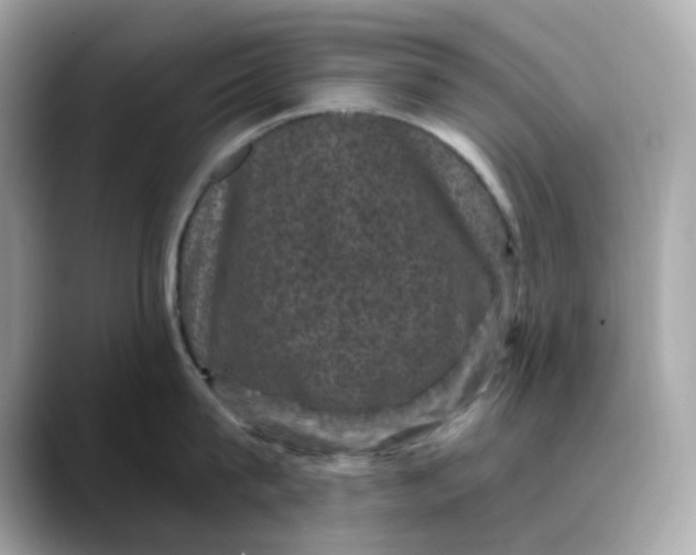 X0000088430815200706051229